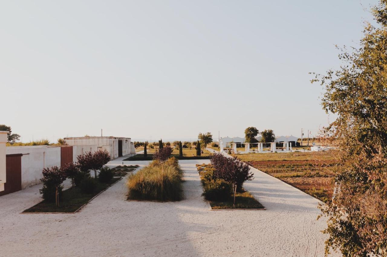 Masseria Fontana Di Vite Matera Bagian luar foto